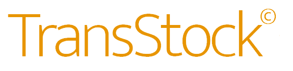 TransStock text company logo