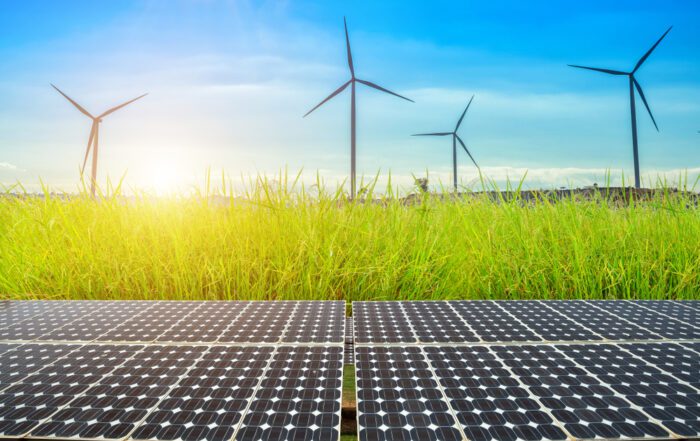 Zonnepanelen geïnstalleerd in een goudgeel maïsveld en rijstveld, symboliserend de combinatie van landbouw en hernieuwbare energie.
